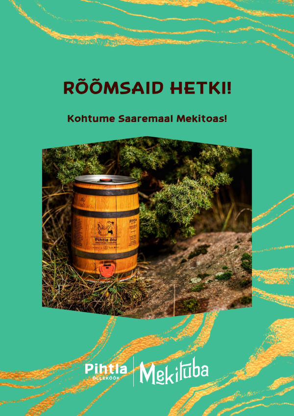 Kingikataloog ärikliendile - Image 11