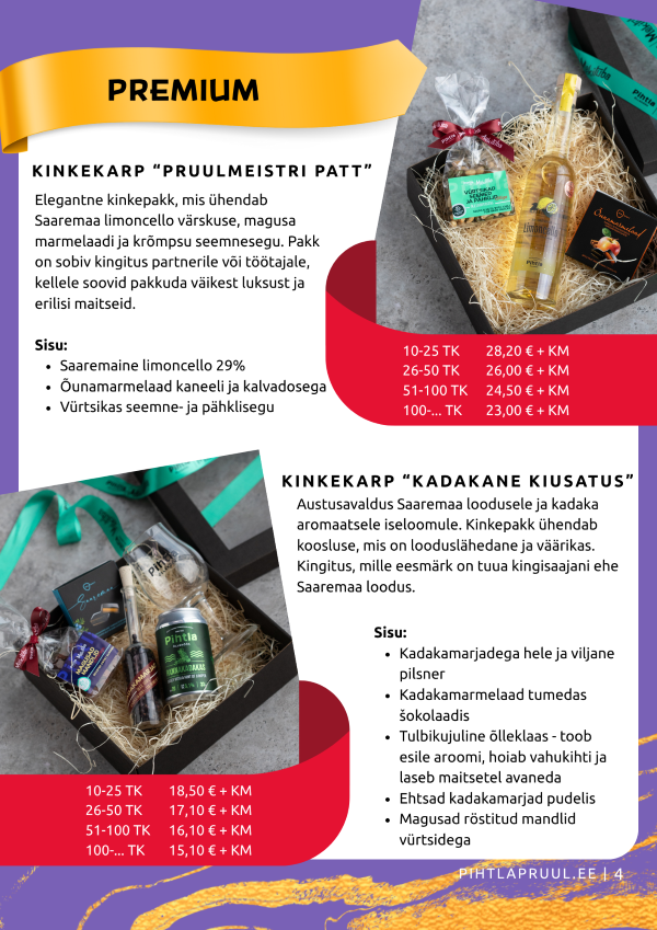 Kingikataloog ärikliendile - Image 5