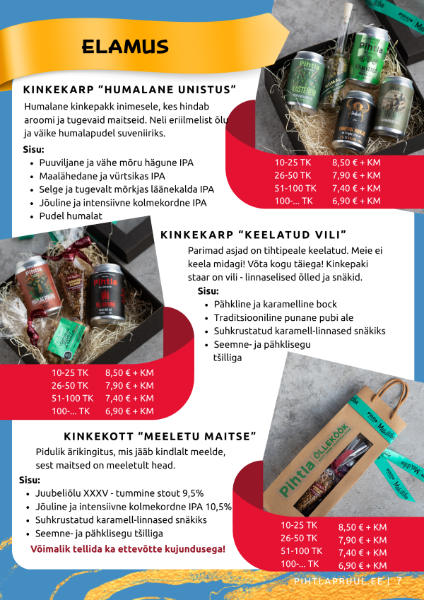 Kingikataloog ärikliendile - Image 9